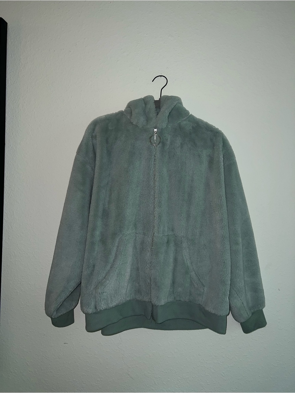 Cozy Oversized Plush Zip-Up Hoodie in Mint Green